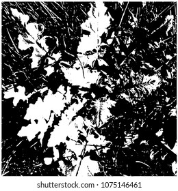 Silhouette of grass. Spring, young grass. Rosette from the leaves. View from above. Isolated vector illustration. Background.