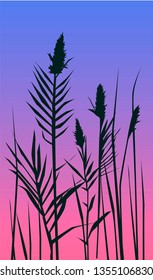 Silhouette of grass and sunset