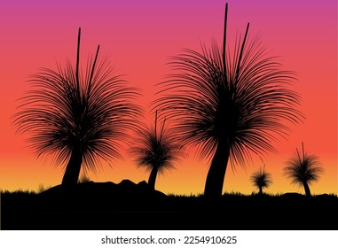 Silueta de árbol de hierba o árbol de chico negro al atardecer. Ilustración vectorial.