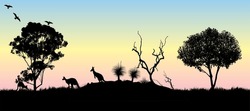 Silhouette Of Grass Tree And Gum Trees At Sunset With Kangaroos. Vector Illustration.