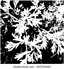 Silhouette of grass wormwood. A large plan. Spring, young grass. Plot of flowering meadow. View from above. Isolated vector illustration. Transparent background.