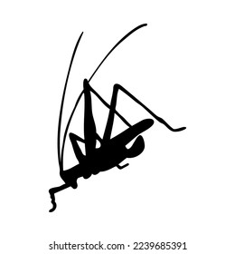 Silhouette of grasshopper. Grasshopper close-up detailed. Vector grasshopper icon on white background.