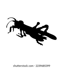 Silhouette of grasshopper. Grasshopper close-up detailed. Vector grasshopper icon on white background.