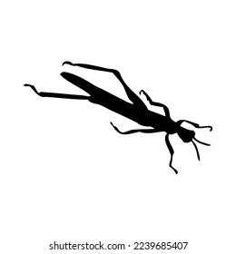 Silhouette of grasshopper. Grasshopper close-up detailed. Vector grasshopper icon on white background.