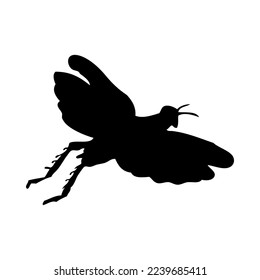 Silhouette of grasshopper. Grasshopper close-up detailed. Vector grasshopper icon on white background.