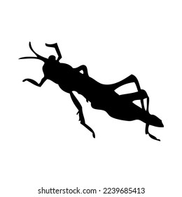 Silhouette of grasshopper. Grasshopper close-up detailed. Vector grasshopper icon on white background.