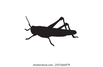 Silhouette of a grasshopper with detailed legs and antennae isolated on a white background, ideal for vector designs.