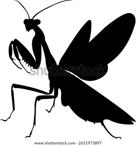 The silhouette of a grasshopper in a distinctive pose, displays the unique and misterious beauty of its natural form