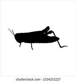 Silhouette von Grasshoppern für Logo oder Grafikdesign-Element. Vektorgrafik 