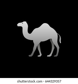Silhouette of a gray camel standing. Camel side view profile.