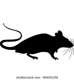 Silhouette of a gray rat 