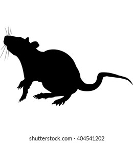 Silhouette of a gray rat 