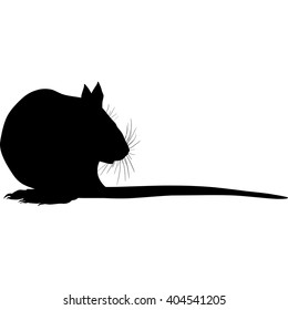 Silhouette of a gray rat 