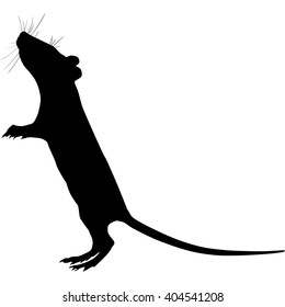 Silhouette of a gray rat 