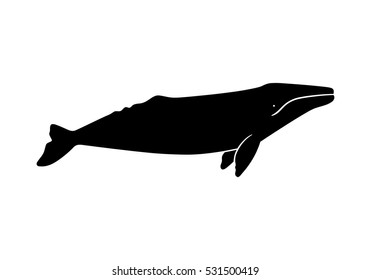 Silhouette of gray whale. Vector illustration isolated on white background.