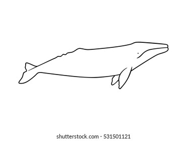 Silhouette of gray whale. Vector illustration isolated on white background.