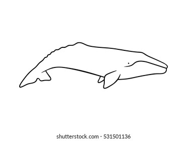 3,094 Gray Whale Illustration Images, Stock Photos & Vectors | Shutterstock