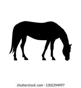 Silhouette of grazing horse. Vector illustration isolated on white background