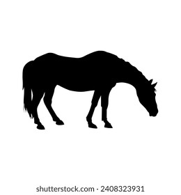 Silhouette of a grazing horse. Vector illustration isolated on a white background