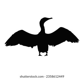 Silhouette of the Great Cormorant in flight.