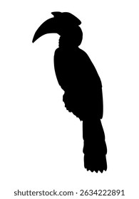 Silhouette Great hornbill Buceros bicornis. Tropical bird great Indian hornbil. Realistic wild bird of India and Southeast Asia