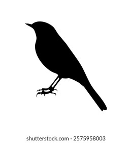 Silhouette of a Great Tit bird in vector format.