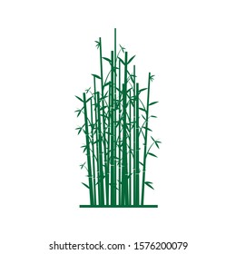 silhouette of green bamboo trees, can be used for any design