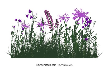 Silhouette of green grass with Violet flowers. Vector illustration