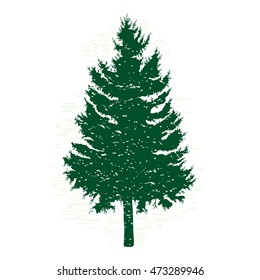 Silhouette of green pine tree, vector illustration. Vintage textured grunge fir tree design template. Vector illustration.