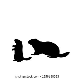 Silhouette Groundhog and young little groundhog. Vector illustrator