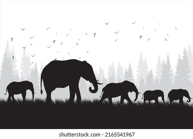 Silhouette of a group of elephants. Illustration of an elephant walking on grass. Animal life in the wild
