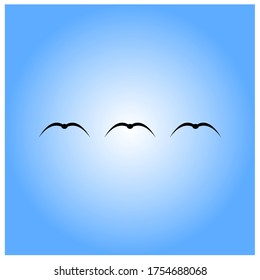 silhouette of a group flying birds