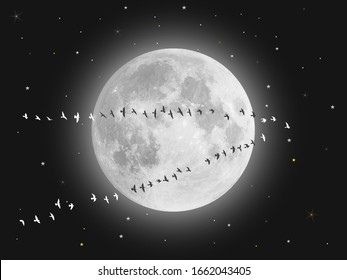 Silhouette of a group of flying birds to the moon