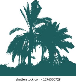 Silhouette of a group of palm trees. Palm trees by the sea. Palm leaf Black silhouette on white. Vector illustration Resort. Exotic. Isolated background