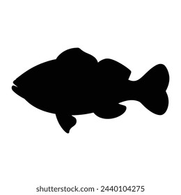 silhouette of a grouper fish on white