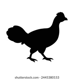 silhouette of a grouse on white