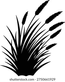 silhouette of growing meadow grass stems with seeds vector design
