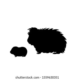 Silhouette of Guinea pig and young little Guinea pig. Vector illustrator