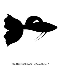 Silhouette of guppy fish. Vector image for logo, card, banners.