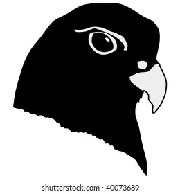 silhouette of gyrfalcon