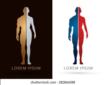 Silhouette, Half Body , Male And Female Anatomy, Graphic Vector.