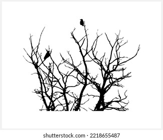 Silhouette für halbwinterliche Krähen, die im Winter auf einem Baum sitzen, oder im Herbst Dry tree Doodle-Gravur-Vektorgrafik EPS10