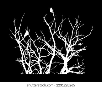 Silhouette for halloween Crows sitting on a tree in winter or autumn forest Dry tree Doodle engraving Vector stock illustration EPS 10