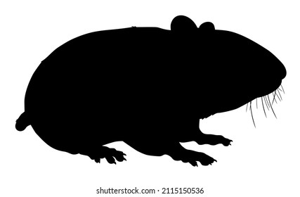 silhouette of a hamster animal vector illustration