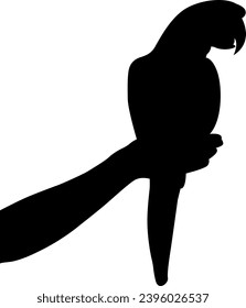 silhouette hand with  bird vector