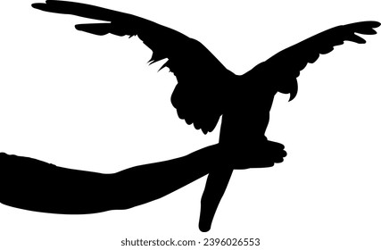 silhouette hand with  bird vector