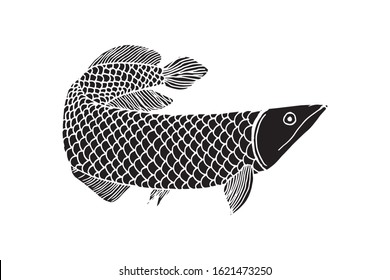 Silhouette Hand drawn arowana fish. Vector Illustration. for logo or other design. isolated in white background