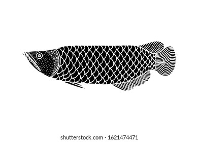 Silhouette Hand drawn arowana fish. Vector Illustration. for logo or other design. isolated in white background