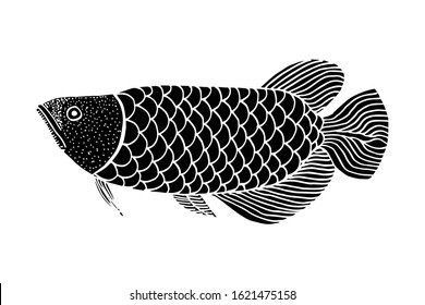 Silhouette Hand drawn arowana fish. Vector Illustration. for logo or other design. isolated in white background