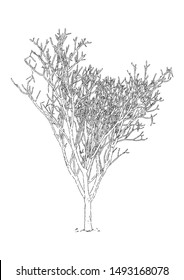 silhouette hand drawn dead tree, isolated natural plant sign, vector illustration on white